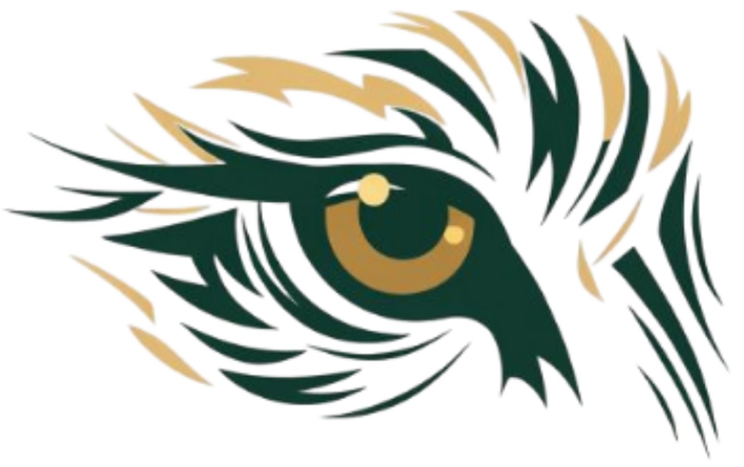 Untamed Safariz