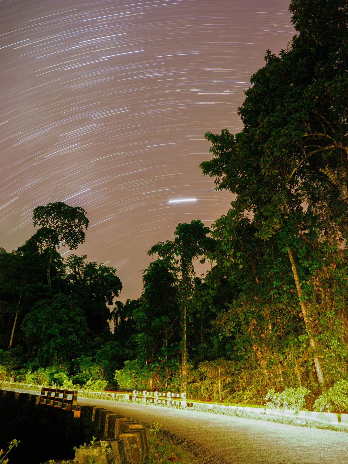 Pench Stargazing Safari